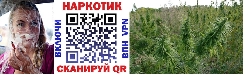 Купить наркотики Олонец МЕТАМФЕТАМИН A-PVP Канабис КОКАИН