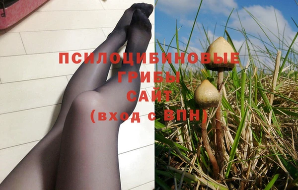 прущая мука Армянск