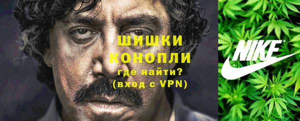 ГАЛЛЮЦИНОГЕННЫЕ ГРИБЫ Арсеньев