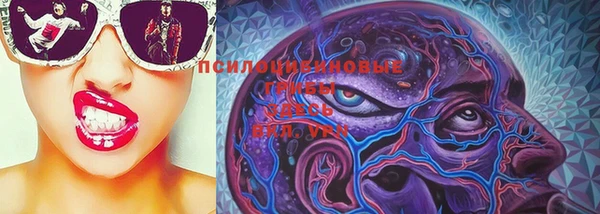 ГАЛЛЮЦИНОГЕННЫЕ ГРИБЫ Арсеньев
