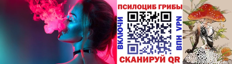 магазин  наркотиков  Олонец  гидра маркетплейс  Псилоцибиновые грибы Cubensis 